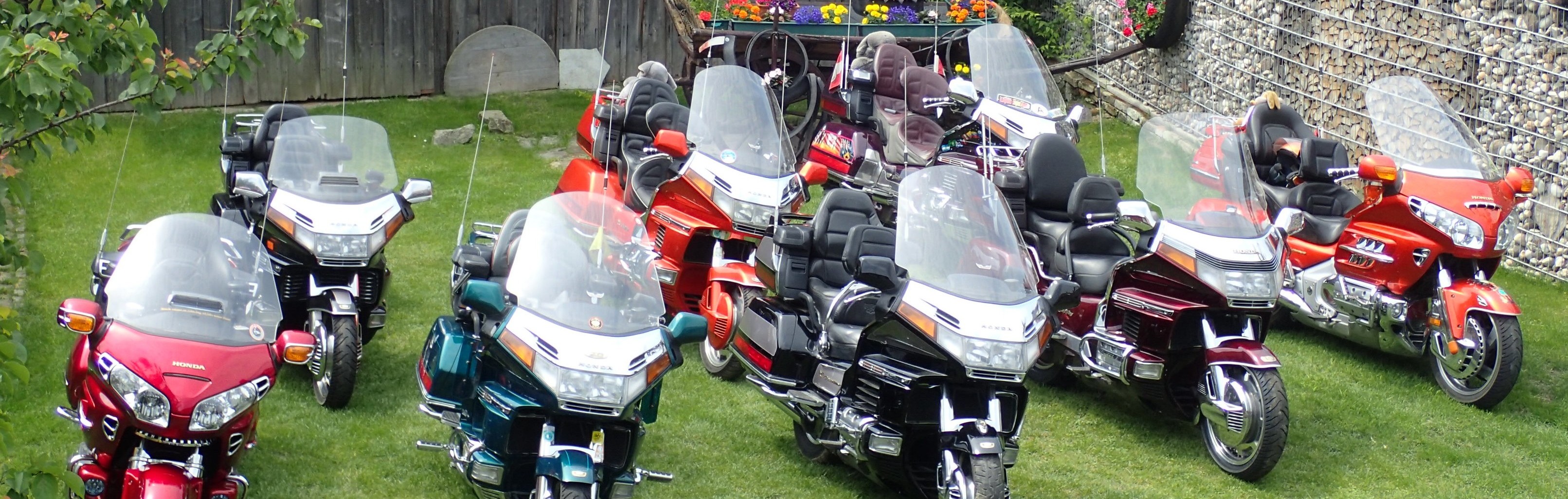 goldwing_header